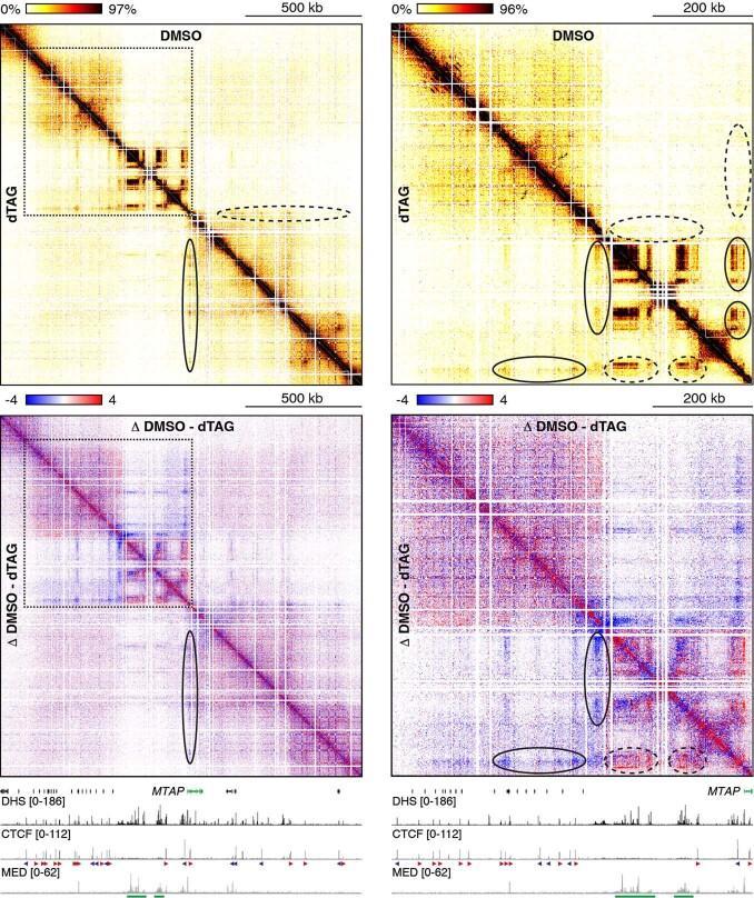 https://cdn.ncbi.nlm.nih.gov/pmc/blobs/a099/10352134/6e55d1d2553a/41594_2023_1027_Fig10_ESM.jpg
