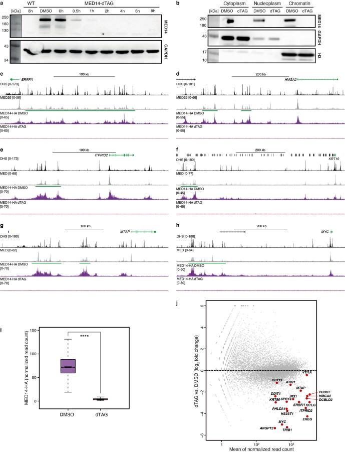https://cdn.ncbi.nlm.nih.gov/pmc/blobs/a099/10352134/cd456897f888/41594_2023_1027_Fig7_ESM.jpg