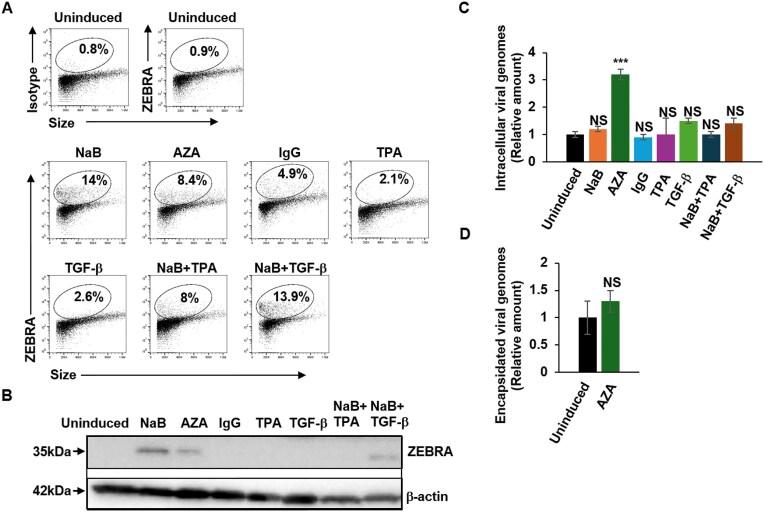 https://cdn.ncbi.nlm.nih.gov/pmc/blobs/a099/12051106/f3d0338f0c6e/zcaf017fig3.jpg
