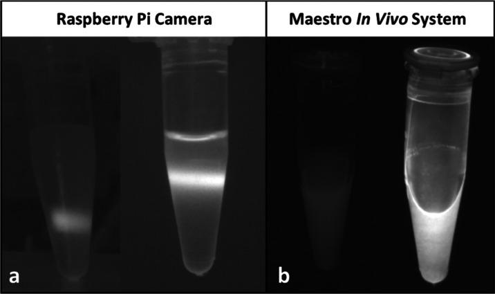 https://cdn.ncbi.nlm.nih.gov/pmc/blobs/a09a/11311135/4bbea2f05a99/cg4c00528_0007.jpg