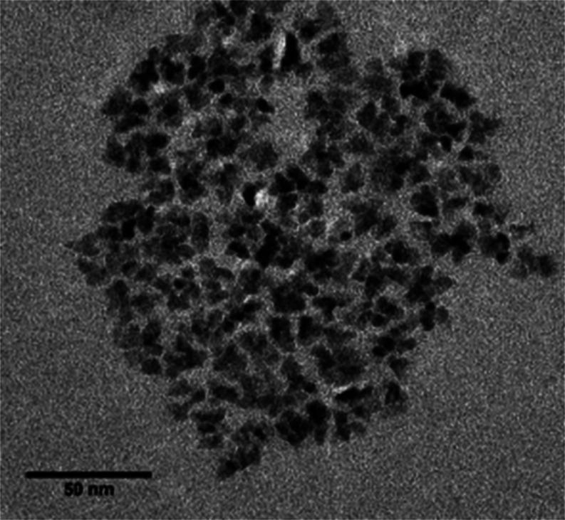 https://cdn.ncbi.nlm.nih.gov/pmc/blobs/a09a/11311135/a25afa45dbd7/cg4c00528_0005.jpg