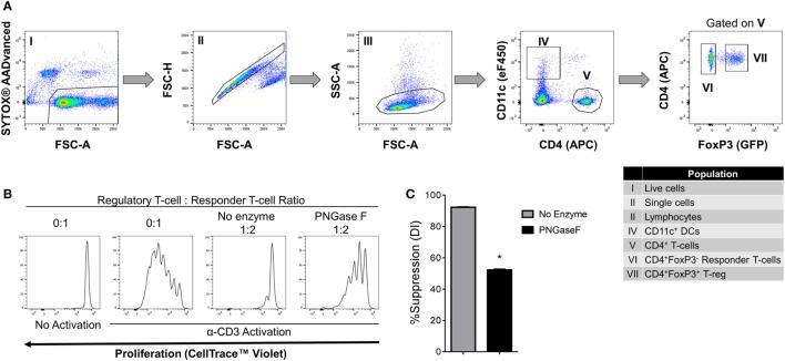https://cdn.ncbi.nlm.nih.gov/pmc/blobs/a09c/5566562/3d7e99f72a5d/fimmu-08-00987-g008.jpg