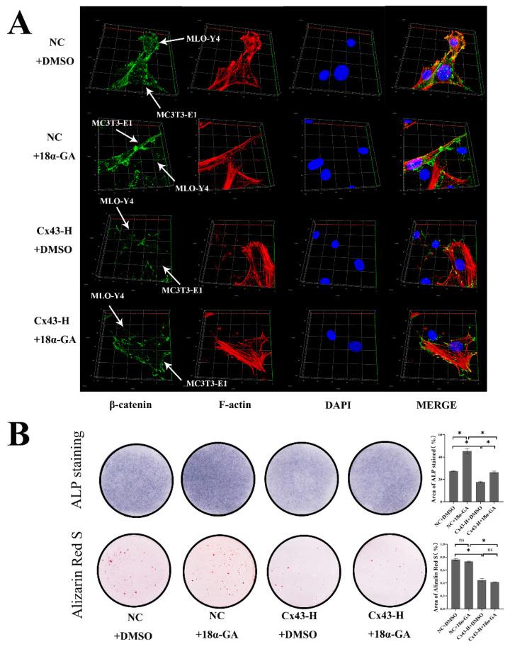 https://cdn.ncbi.nlm.nih.gov/pmc/blobs/a0a0/10342113/16f6e4c73998/ijms-24-10864-g009.jpg