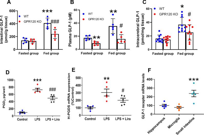 https://cdn.ncbi.nlm.nih.gov/pmc/blobs/a0a1/8711188/bd7469662207/12974_2021_2361_Fig5_HTML.jpg