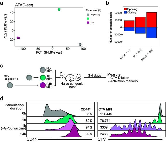 https://cdn.ncbi.nlm.nih.gov/pmc/blobs/a0a3/10751865/63e9e2afad8c/yjbm_96_4_467_g01.jpg
