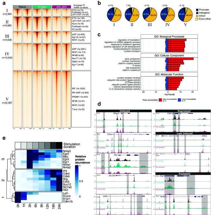 https://cdn.ncbi.nlm.nih.gov/pmc/blobs/a0a3/10751865/b1fa98958c21/yjbm_96_4_467_g02.jpg