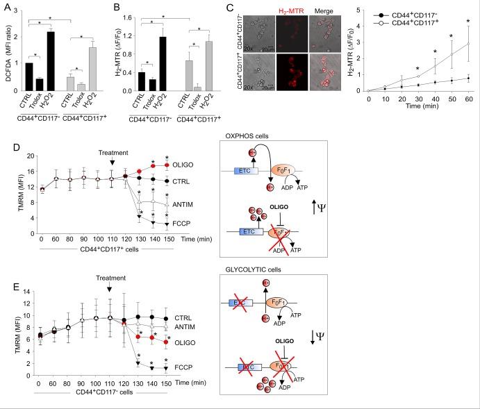 https://cdn.ncbi.nlm.nih.gov/pmc/blobs/a0a4/4147325/2fed4f8052c9/oncotarget-05-4305-g004.jpg