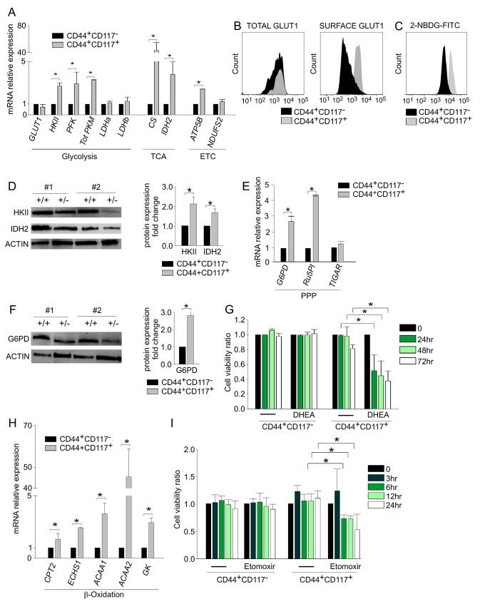 https://cdn.ncbi.nlm.nih.gov/pmc/blobs/a0a4/4147325/517af249686a/oncotarget-05-4305-g002.jpg