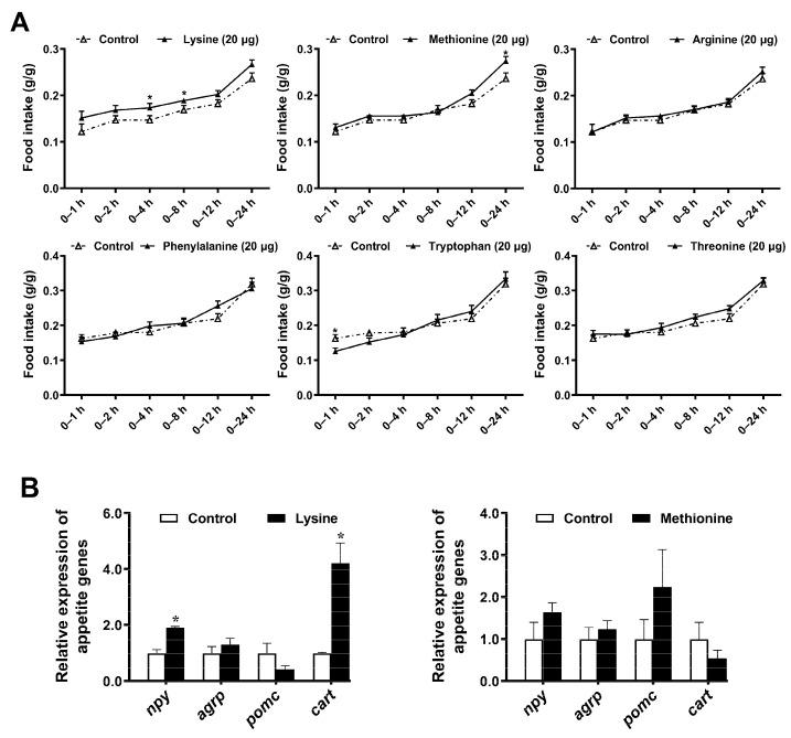 https://cdn.ncbi.nlm.nih.gov/pmc/blobs/a0a5/9223478/042b1ff3806f/ijms-23-06727-g001.jpg