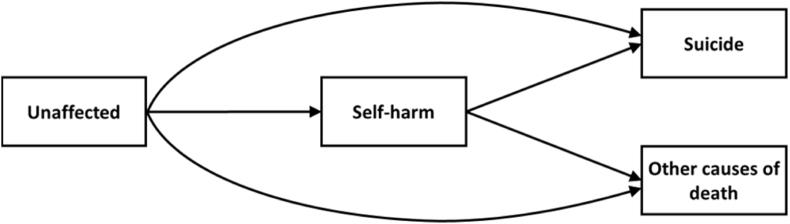https://cdn.ncbi.nlm.nih.gov/pmc/blobs/a0a6/10821139/ff64e0f064e0/gr1.jpg