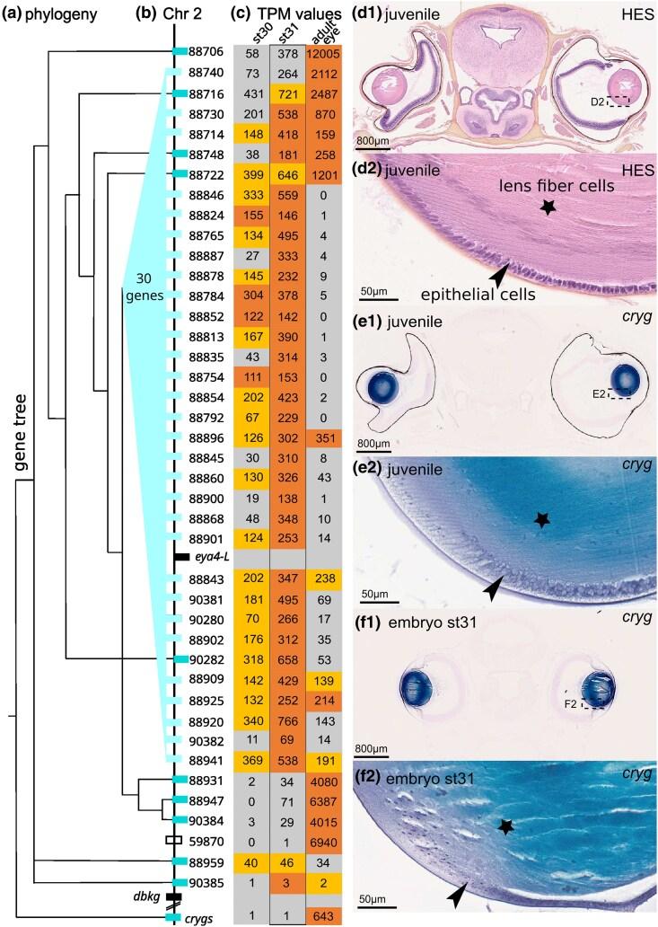 https://cdn.ncbi.nlm.nih.gov/pmc/blobs/a0a7/11979771/5b5321b553ba/msae246f10.jpg