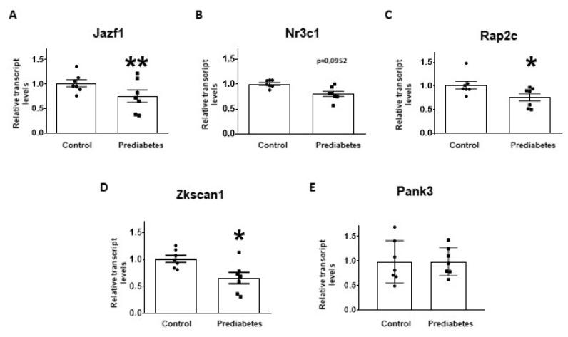 https://cdn.ncbi.nlm.nih.gov/pmc/blobs/a0a8/7139428/e87ec35cd9b3/ijms-21-02128-g003.jpg