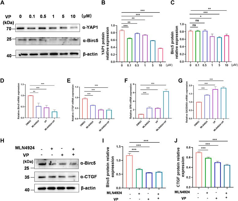 https://cdn.ncbi.nlm.nih.gov/pmc/blobs/a0aa/11327456/fe0aba7a6912/gr5.jpg