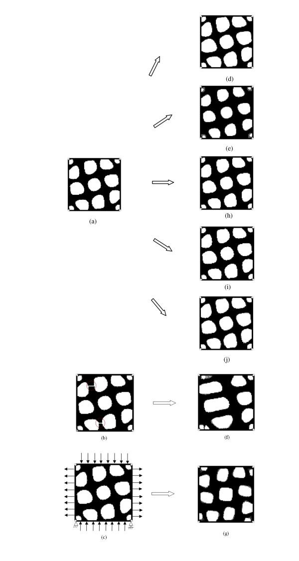 https://cdn.ncbi.nlm.nih.gov/pmc/blobs/a0aa/2903604/b17658c1ffb8/1475-925X-9-32-5.jpg
