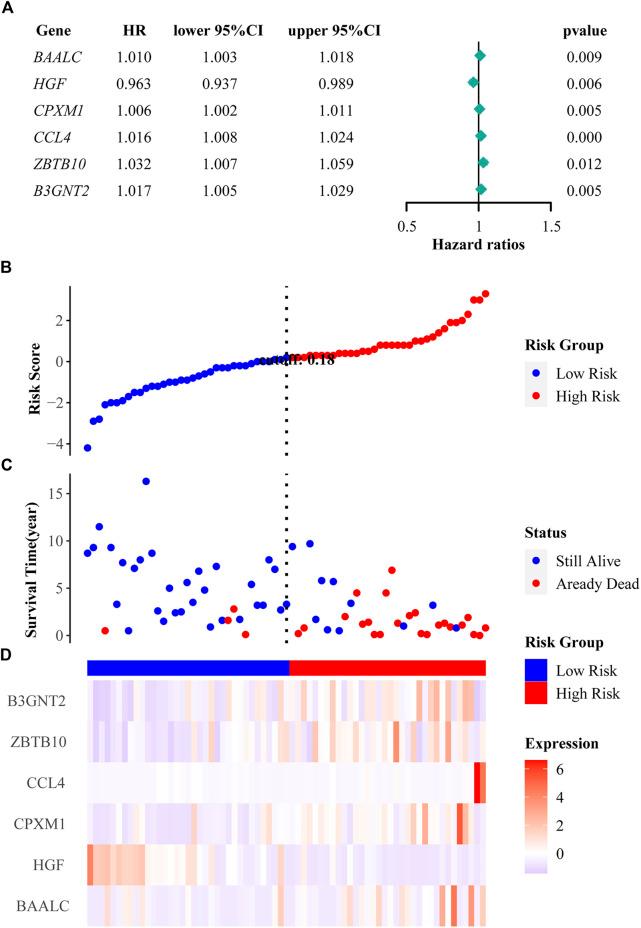 https://cdn.ncbi.nlm.nih.gov/pmc/blobs/a0aa/9669305/6d0e98705de6/fcell-10-1036312-g005.jpg