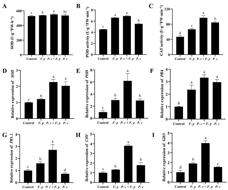 https://cdn.ncbi.nlm.nih.gov/pmc/blobs/a0ae/11432967/1bda610473b8/jof-10-00641-g009.jpg