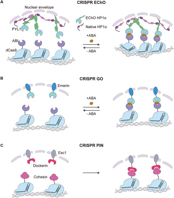 https://cdn.ncbi.nlm.nih.gov/pmc/blobs/a0af/12399806/d5cd53182927/research.0865.fig.005.jpg