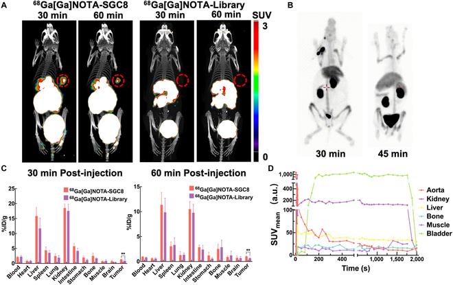 https://cdn.ncbi.nlm.nih.gov/pmc/blobs/a0b1/10202413/fc022726dac7/research.0126.fig.002.jpg