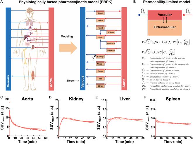 https://cdn.ncbi.nlm.nih.gov/pmc/blobs/a0b1/10202413/fecf592f2605/research.0126.fig.005.jpg