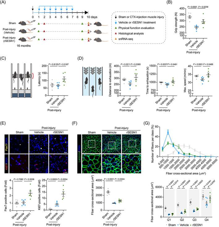 https://cdn.ncbi.nlm.nih.gov/pmc/blobs/a0b1/10212707/91a80e3ceb63/CPR-56-e13455-g002.jpg