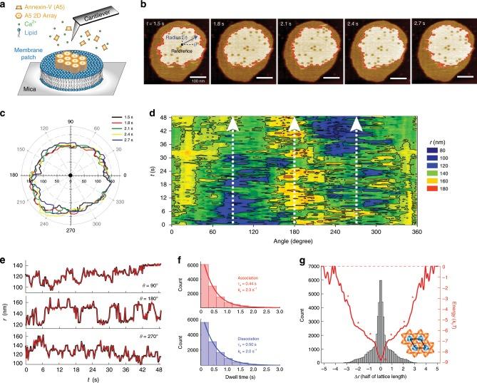 https://cdn.ncbi.nlm.nih.gov/pmc/blobs/a0b1/6957514/52a68e11ef38/41467_2019_14045_Fig2_HTML.jpg