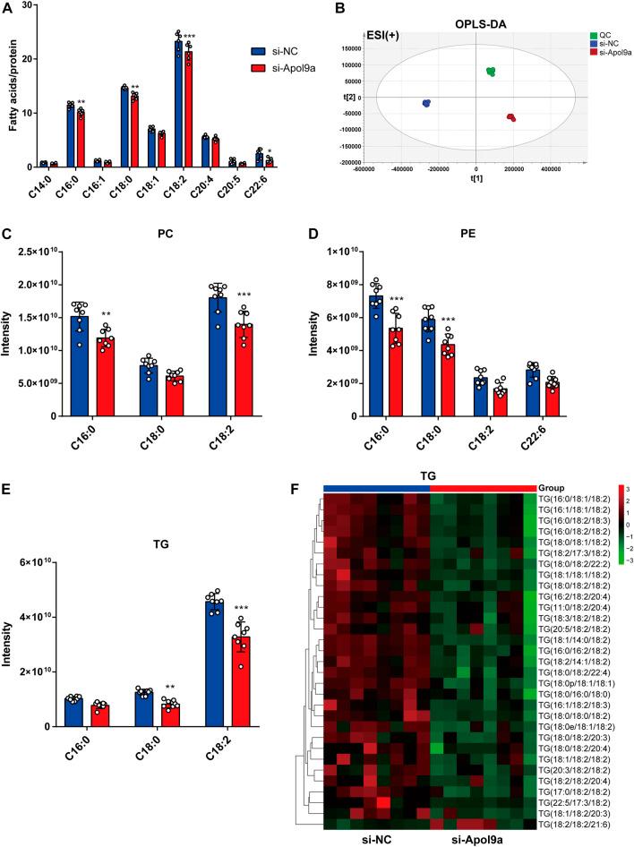 https://cdn.ncbi.nlm.nih.gov/pmc/blobs/a0b2/9727217/f9335cf24269/fphar-13-942061-g005.jpg