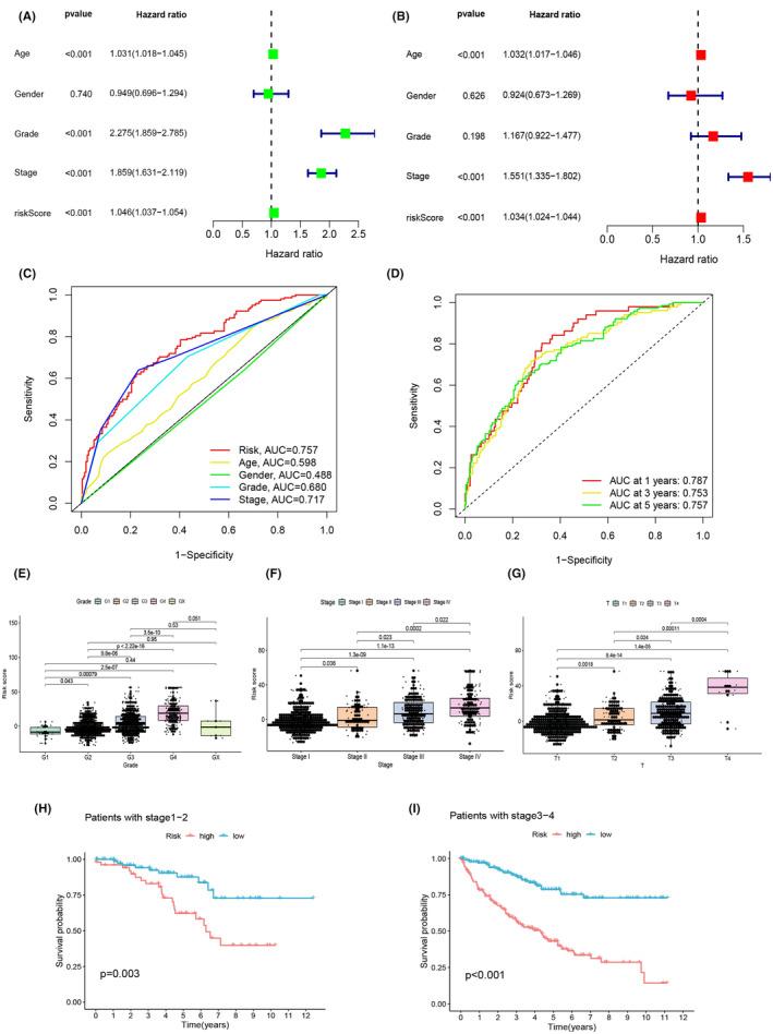 https://cdn.ncbi.nlm.nih.gov/pmc/blobs/a0b4/11249822/7898a319e185/JCMM-28-e18524-g003.jpg