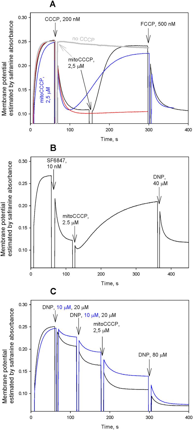 https://cdn.ncbi.nlm.nih.gov/pmc/blobs/a0b4/7773232/ae9782b2d97c/pone.0244499.g002.jpg