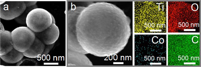 https://cdn.ncbi.nlm.nih.gov/pmc/blobs/a0b7/9445113/d0d79299f3f2/11671_2022_3719_Fig3_HTML.jpg
