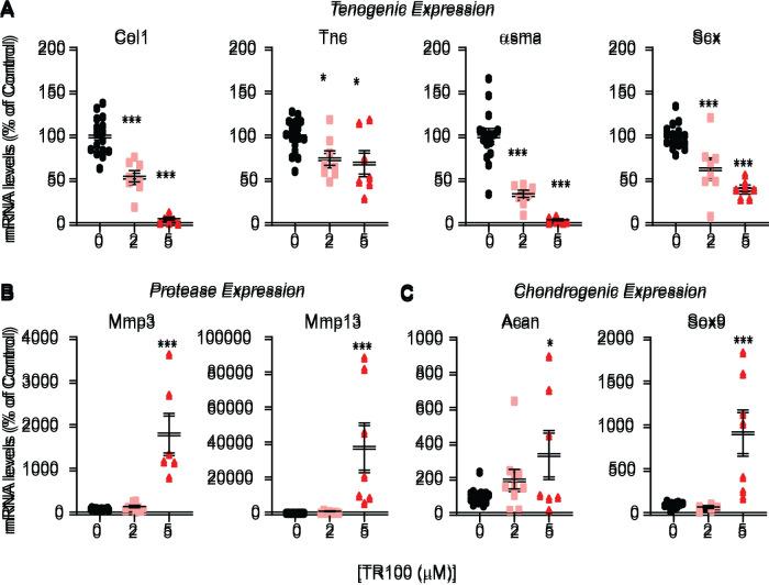 https://cdn.ncbi.nlm.nih.gov/pmc/blobs/a0b9/9727789/e080a1982636/mbc-33-ar141-g006.jpg