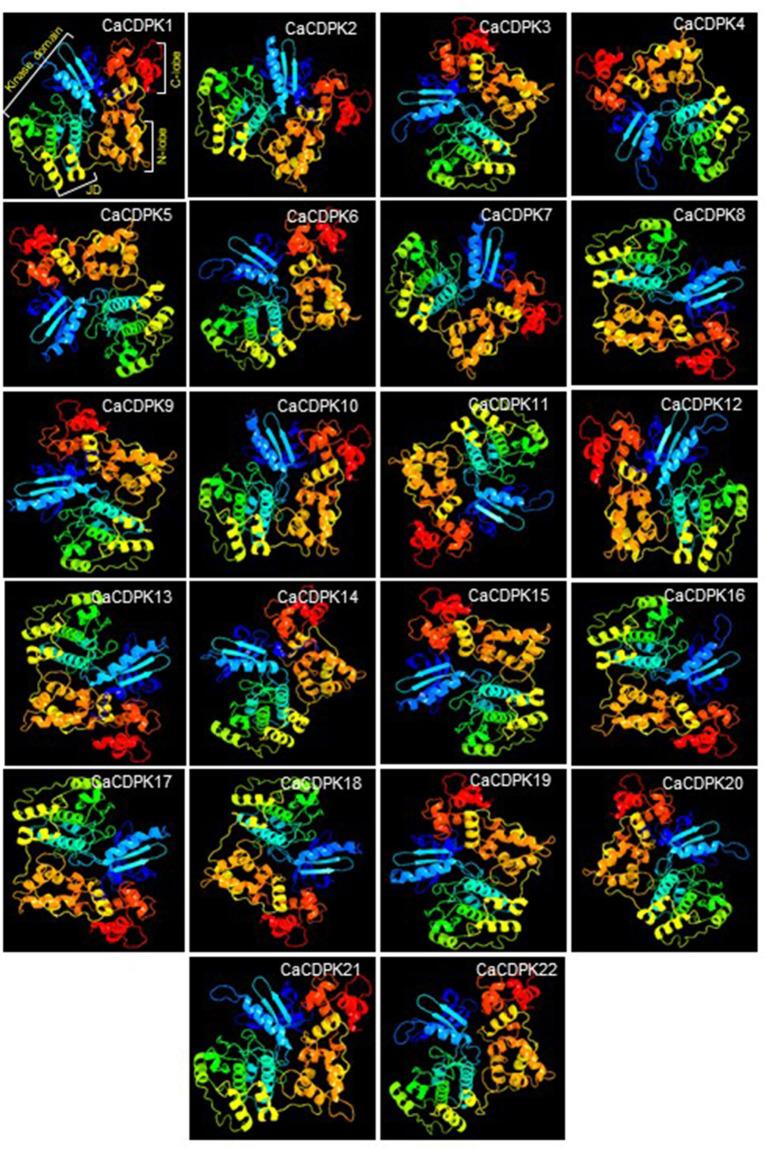 https://cdn.ncbi.nlm.nih.gov/pmc/blobs/a0ba/9039462/7a766733f2d6/fpls-13-831265-g0004.jpg