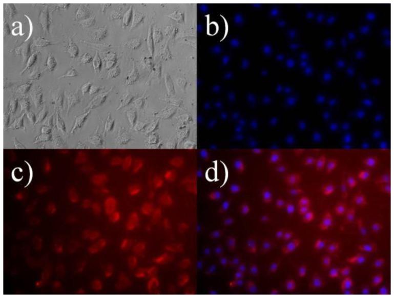 https://cdn.ncbi.nlm.nih.gov/pmc/blobs/a0bb/5333020/0b9815faa0ab/nanomaterials-07-00035-g005.jpg