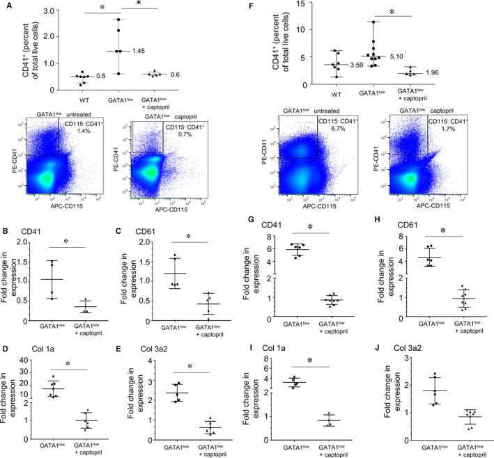 https://cdn.ncbi.nlm.nih.gov/pmc/blobs/a0bb/6111823/314ed4c0ca53/JCMM-22-4274-g003.jpg