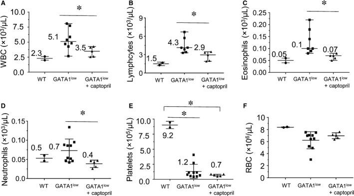 https://cdn.ncbi.nlm.nih.gov/pmc/blobs/a0bb/6111823/3cb14a2241ab/JCMM-22-4274-g002.jpg