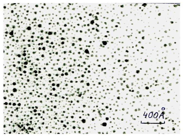 https://cdn.ncbi.nlm.nih.gov/pmc/blobs/a0bc/10383468/c3ea66c2eadb/pharmaceutics-15-01989-g011.jpg