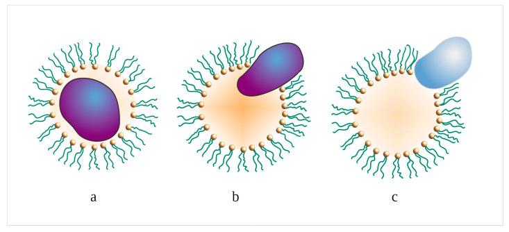 https://cdn.ncbi.nlm.nih.gov/pmc/blobs/a0bc/10383468/eebb63adc609/pharmaceutics-15-01989-g002.jpg