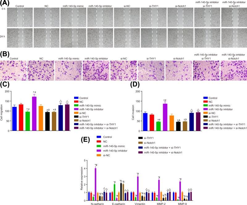 https://cdn.ncbi.nlm.nih.gov/pmc/blobs/a0bd/6646234/c04e584b48b8/bsr-39-bsr20181434-g7.jpg