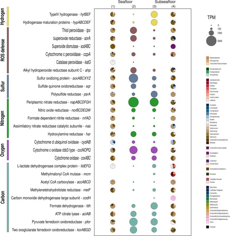 https://cdn.ncbi.nlm.nih.gov/pmc/blobs/a0bf/12261850/011f16d91de5/40793_2025_738_Fig5_HTML.jpg