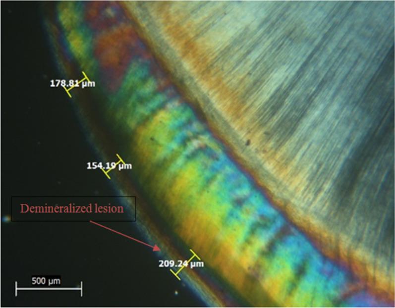 https://cdn.ncbi.nlm.nih.gov/pmc/blobs/a0c4/9938617/162b12055cbf/12903_2023_2799_Fig2_HTML.jpg