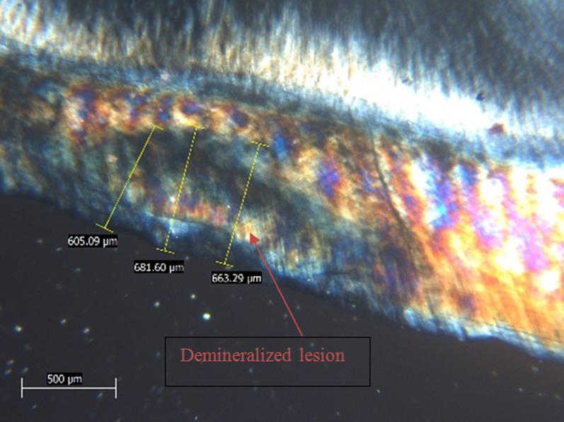 https://cdn.ncbi.nlm.nih.gov/pmc/blobs/a0c4/9938617/3d3ab75fbb81/12903_2023_2799_Fig4_HTML.jpg