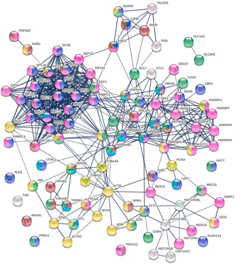 https://cdn.ncbi.nlm.nih.gov/pmc/blobs/a0c5/8075847/6fc6188677e9/gr6_lrg.jpg