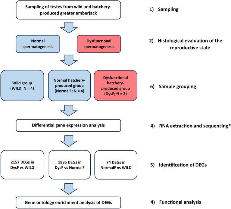 https://cdn.ncbi.nlm.nih.gov/pmc/blobs/a0c6/10444852/67ded720de83/41598_2023_40597_Fig1_HTML.jpg