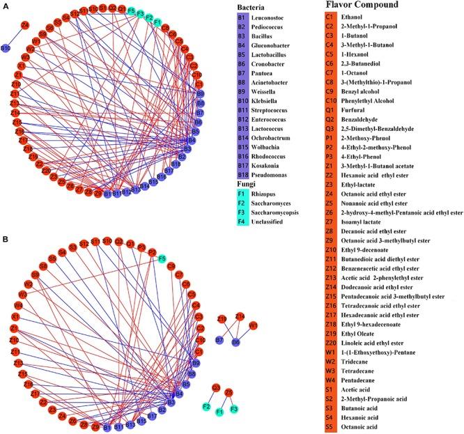 https://cdn.ncbi.nlm.nih.gov/pmc/blobs/a0c6/7180510/63e83e5069c6/fmicb-11-00593-g007.jpg