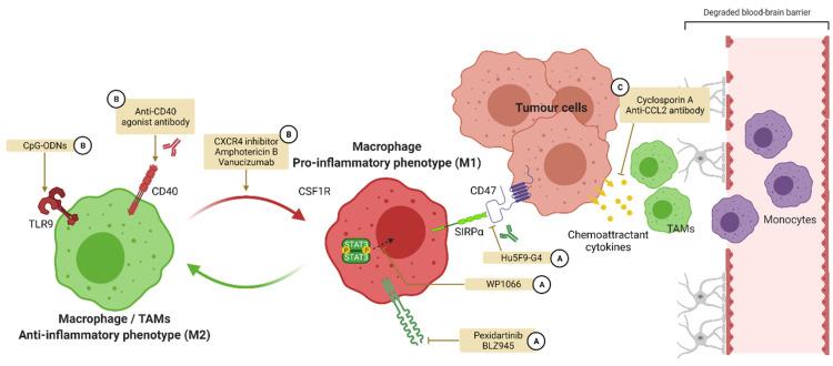 https://cdn.ncbi.nlm.nih.gov/pmc/blobs/a0c6/8877500/86af40990dfd/pharmaceutics-14-00344-g005.jpg
