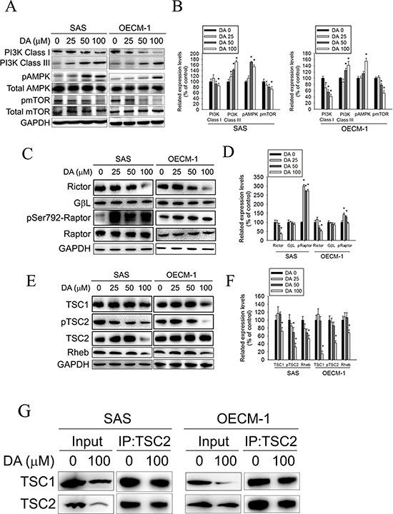 https://cdn.ncbi.nlm.nih.gov/pmc/blobs/a0c8/4741571/877798bbf022/oncotarget-06-30831-g006.jpg