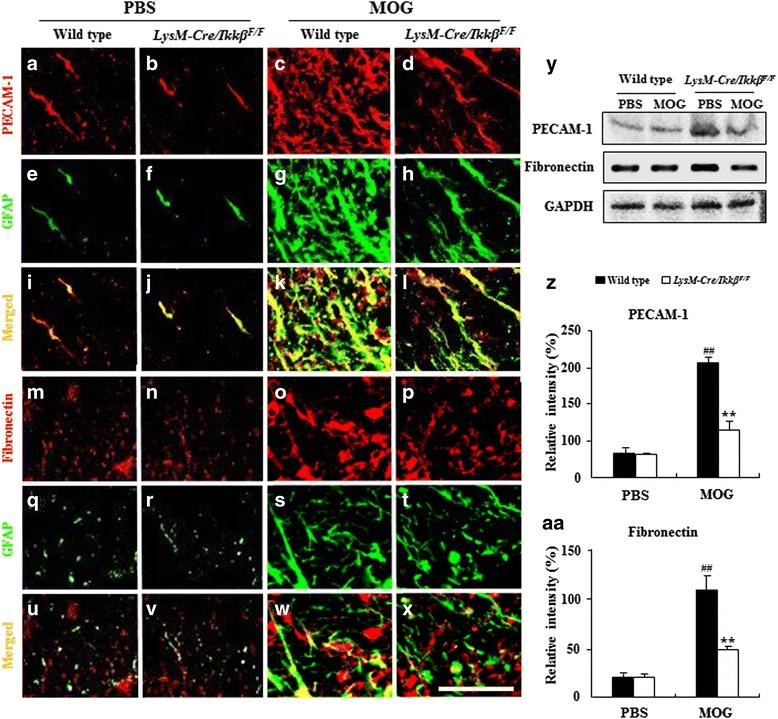 https://cdn.ncbi.nlm.nih.gov/pmc/blobs/a0ca/4957872/04c50f512388/13024_2016_116_Fig7_HTML.jpg