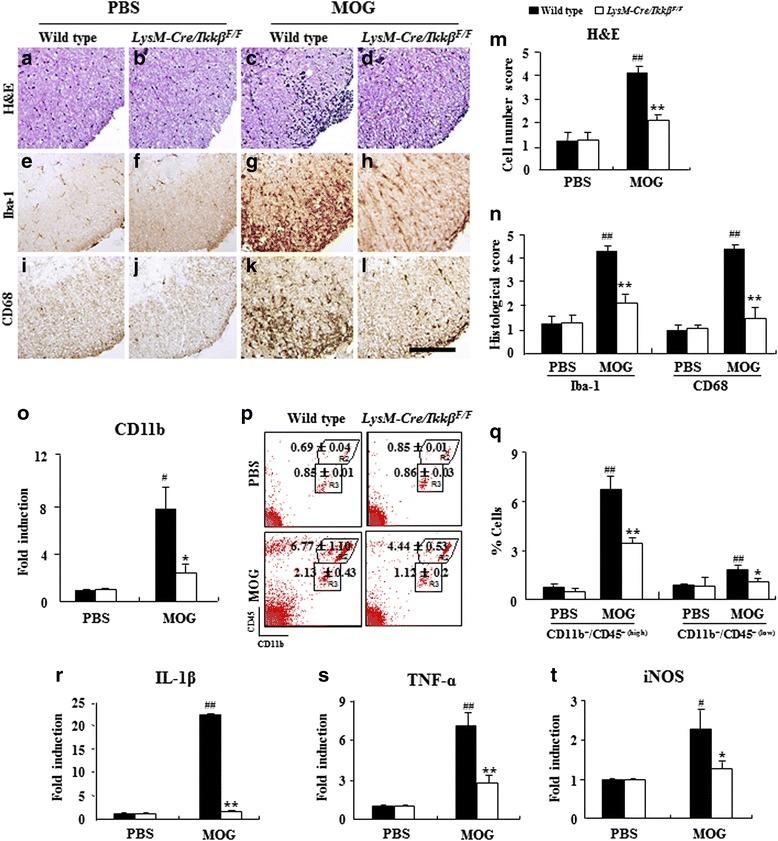https://cdn.ncbi.nlm.nih.gov/pmc/blobs/a0ca/4957872/9621d4e6c0f0/13024_2016_116_Fig3_HTML.jpg