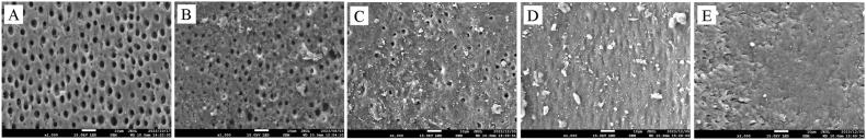 https://cdn.ncbi.nlm.nih.gov/pmc/blobs/a0cc/11993013/264200f8d178/gr1.jpg