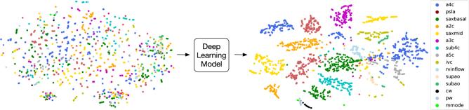 https://cdn.ncbi.nlm.nih.gov/pmc/blobs/a0cc/6548341/aaeb0313813b/41746_2017_13_Fig4_HTML.jpg
