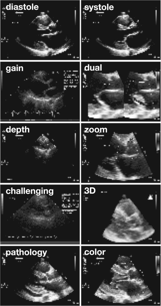 https://cdn.ncbi.nlm.nih.gov/pmc/blobs/a0cc/6548341/cee1a46b227b/41746_2017_13_Fig3_HTML.jpg